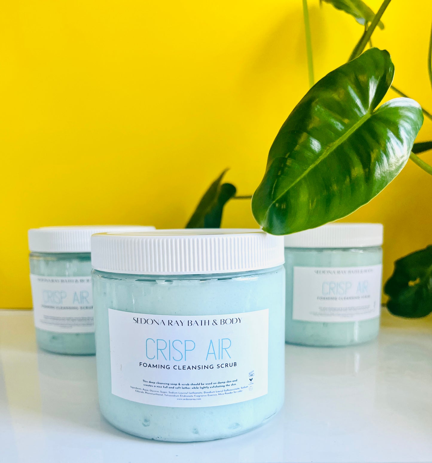 Foaming Cleansing Scrub (6qty)