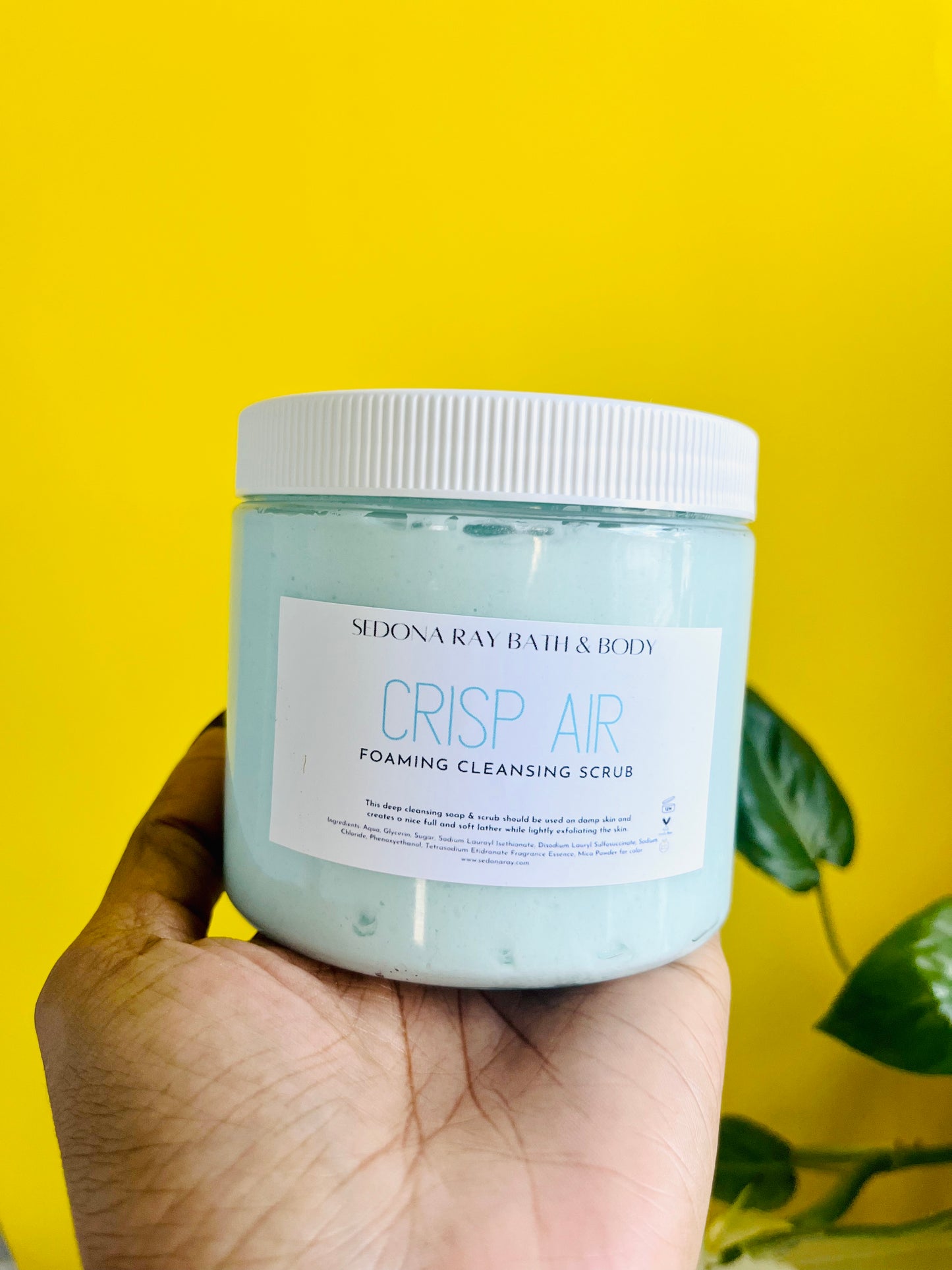 Foaming Cleansing Scrub (6qty)